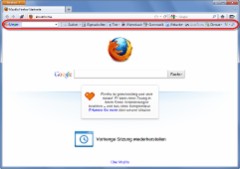 FoxLingo 2.7.3